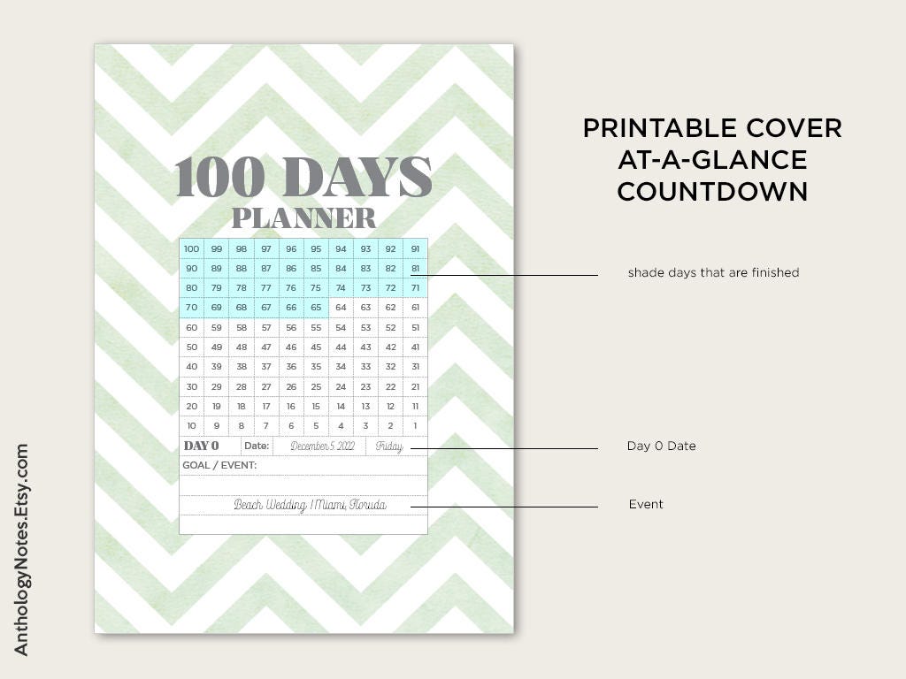 B6 100 DAYS PLANNER - Printable Insert - Traveler's Notebook - Goal Setting Insert