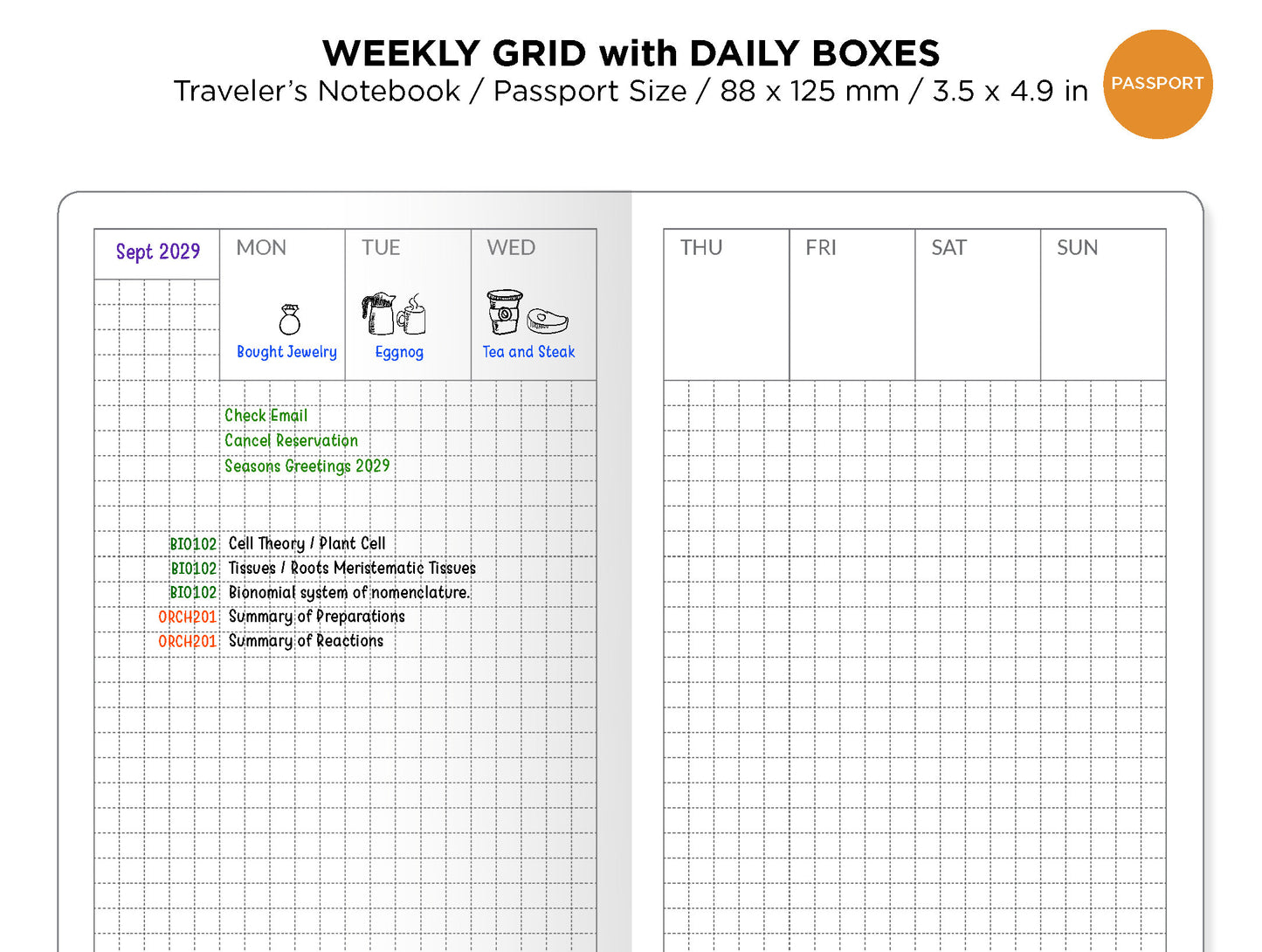 PASSPORT Weekly Grid with DAILY BOXES Printable Insert Traveler's Notebook