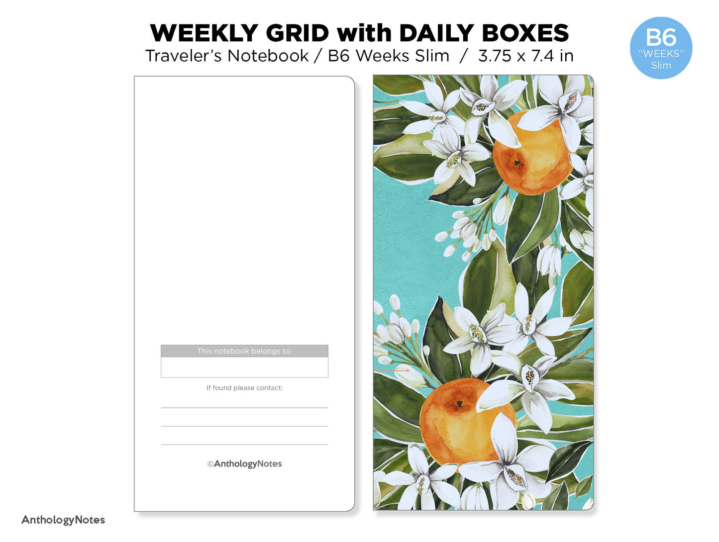 TN WEEKS Slim Weekly View with Daily Boxes Traveler's Notebook Printable Insert