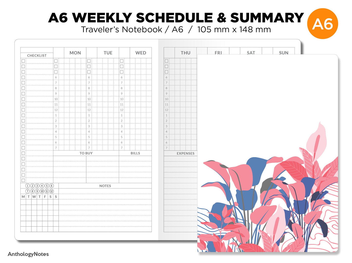 TN A6 Weekly Schedule & Summary
