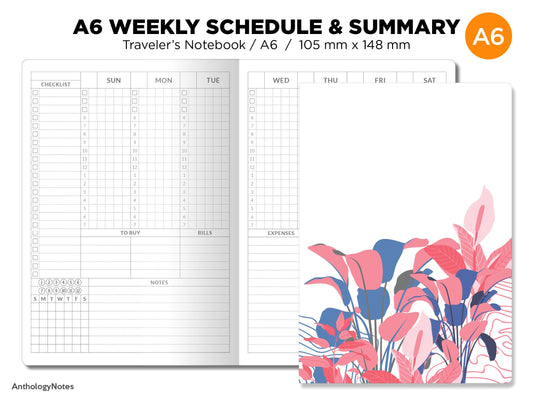 TN A6 Weekly Schedule & Summary