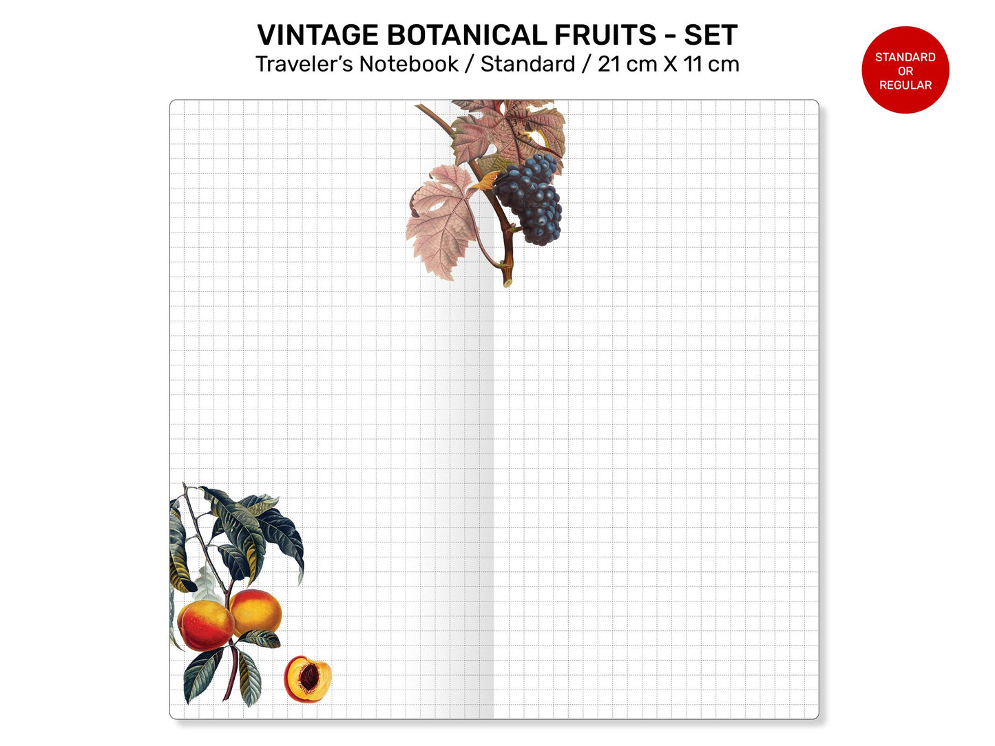 Vintage Fruits JOURNALING BUNDLE SET Standard Traveler's Notebook Printable Insert - Botanicals, Art Journal, Junk Journal