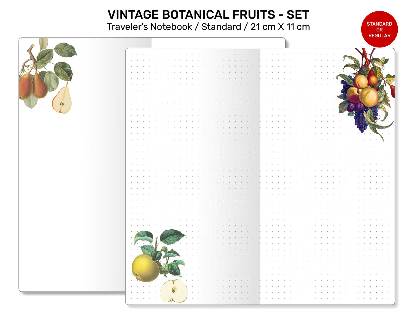 Vintage Fruits JOURNALING BUNDLE SET Standard Traveler's Notebook Printable Insert - Botanicals, Art Journal, Junk Journal