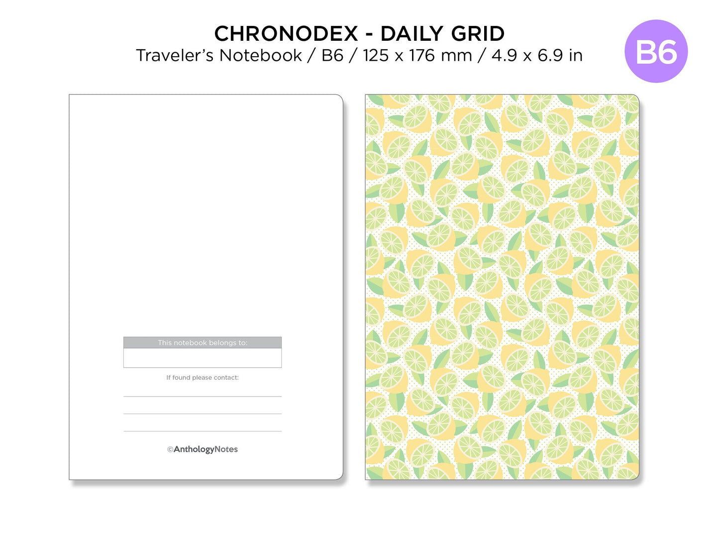 B6 Daily Grid CHRONODEX Traveler's Notebook Printable Insert Do1P Minimalist Functional Planning