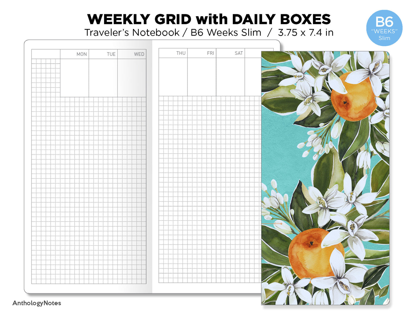 TN WEEKS Slim Weekly View with Daily Boxes Traveler's Notebook Printable Insert