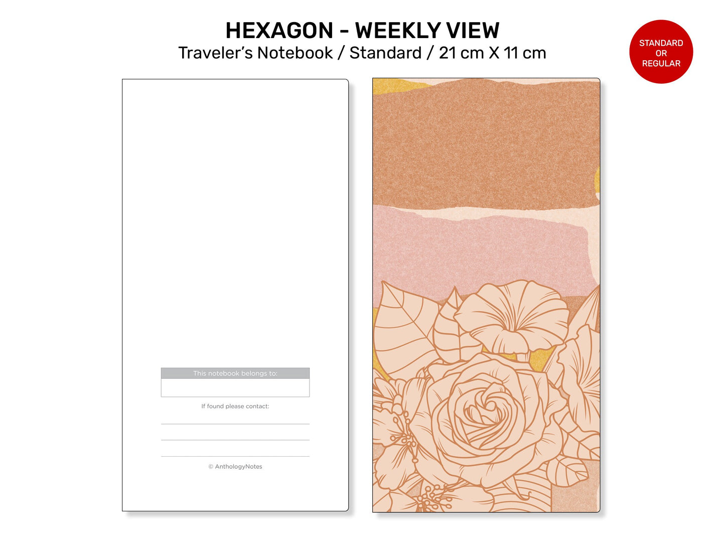 TN WEEKLY View Standard Visual Planning - HEXAGON Boxes - WO2P RTN025