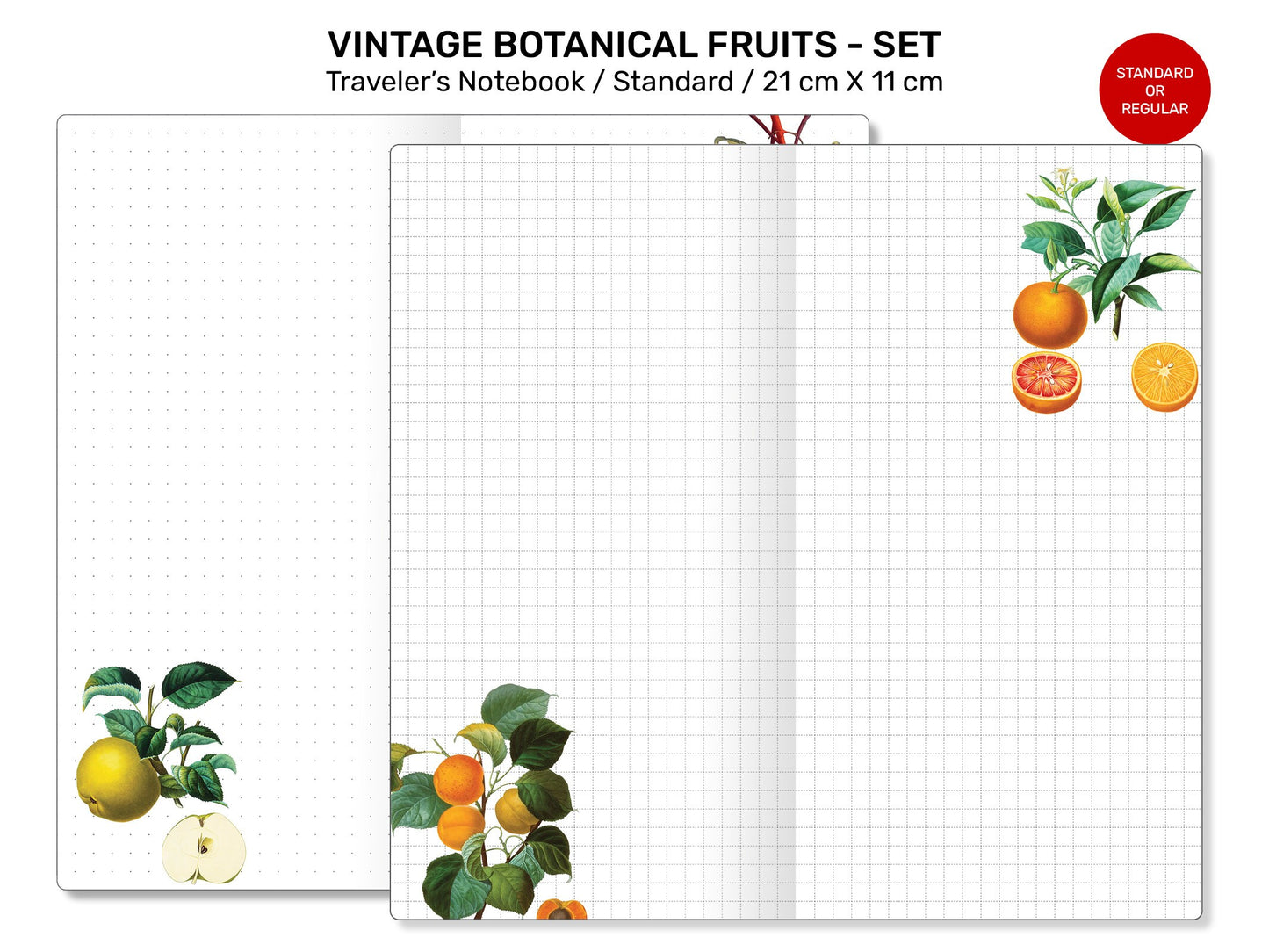 Vintage Fruits JOURNALING BUNDLE SET Standard Traveler's Notebook Printable Insert - Botanicals, Art Journal, Junk Journal